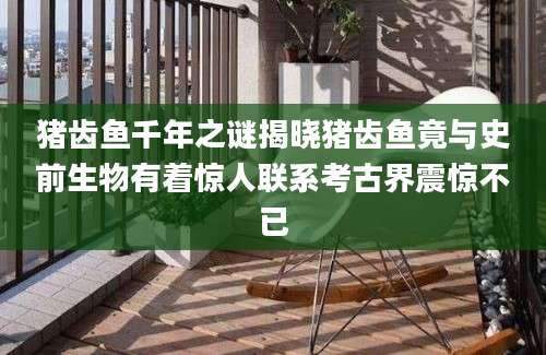 猪齿鱼千年之谜揭晓猪齿鱼竟与史前生物有着惊人联系考古界震惊不已