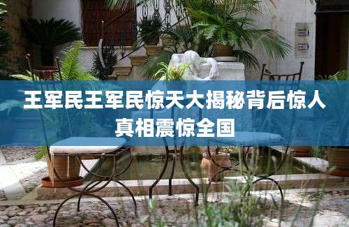王军民王军民惊天大揭秘背后惊人真相震惊全国