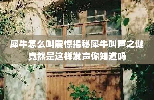 犀牛怎么叫震惊揭秘犀牛叫声之谜竟然是这样发声你知道吗