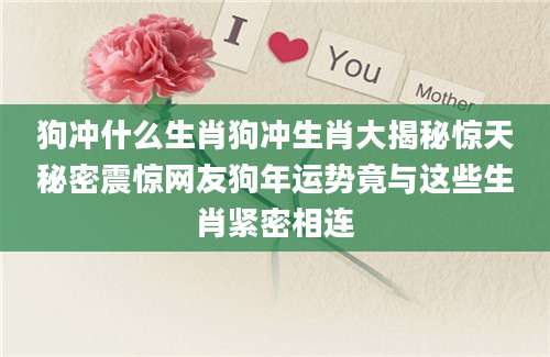 狗冲什么生肖狗冲生肖大揭秘惊天秘密震惊网友狗年运势竟与这些生肖紧密相连