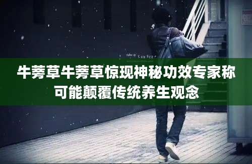 牛蒡草牛蒡草惊现神秘功效专家称可能颠覆传统养生观念
