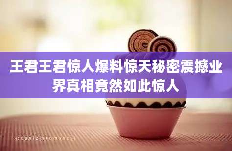 王君王君惊人爆料惊天秘密震撼业界真相竟然如此惊人