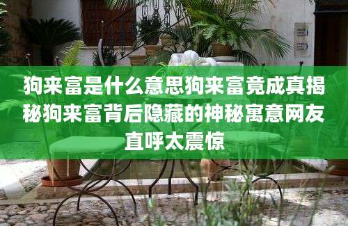 狗来富是什么意思狗来富竟成真揭秘狗来富背后隐藏的神秘寓意网友直呼太震惊