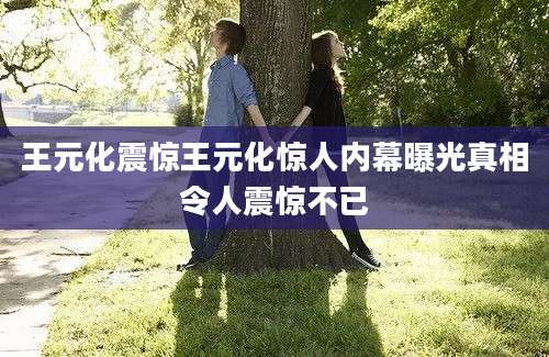 王元化震惊王元化惊人内幕曝光真相令人震惊不已