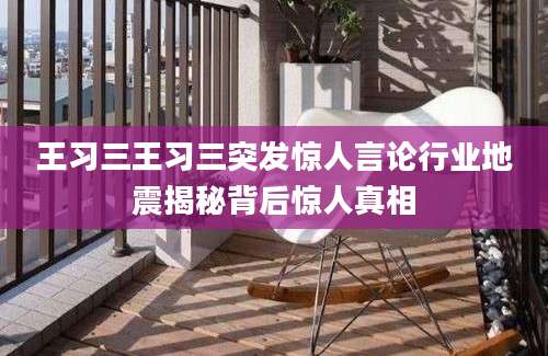 王习三王习三突发惊人言论行业地震揭秘背后惊人真相