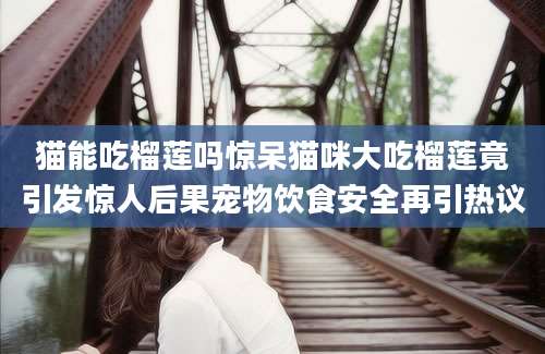 猫能吃榴莲吗惊呆猫咪大吃榴莲竟引发惊人后果宠物饮食安全再引热议
