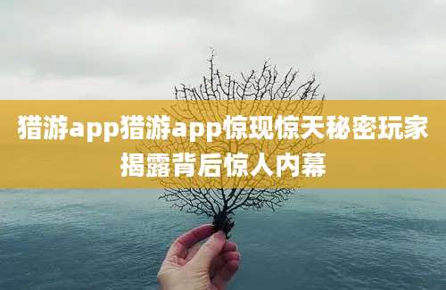 猎游app猎游app惊现惊天秘密玩家揭露背后惊人内幕