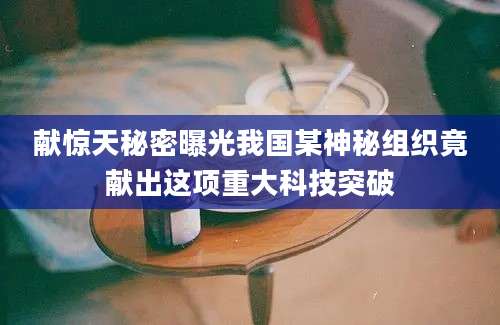 献惊天秘密曝光我国某神秘组织竟献出这项重大科技突破