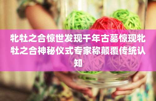 牝牡之合惊世发现千年古墓惊现牝牡之合神秘仪式专家称颠覆传统认知