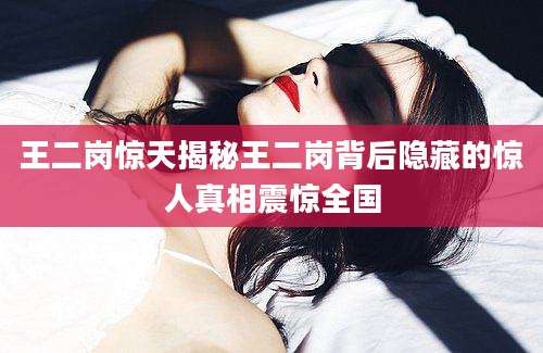 王二岗惊天揭秘王二岗背后隐藏的惊人真相震惊全国