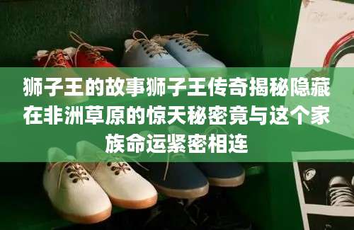 狮子王的故事狮子王传奇揭秘隐藏在非洲草原的惊天秘密竟与这个家族命运紧密相连