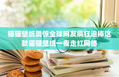 猫猫壁纸震惊全球网友疯狂追捧这款猫猫壁纸一夜走红网络