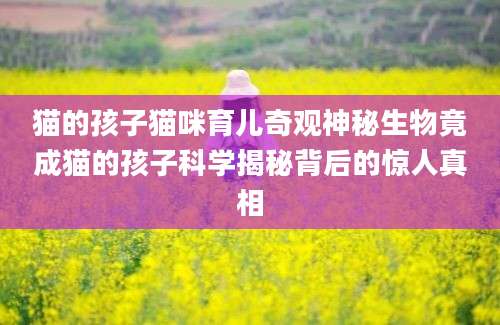 猫的孩子猫咪育儿奇观神秘生物竟成猫的孩子科学揭秘背后的惊人真相
