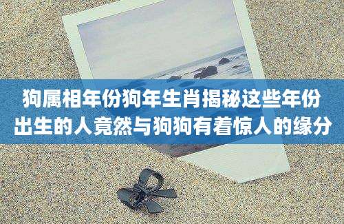 狗属相年份狗年生肖揭秘这些年份出生的人竟然与狗狗有着惊人的缘分