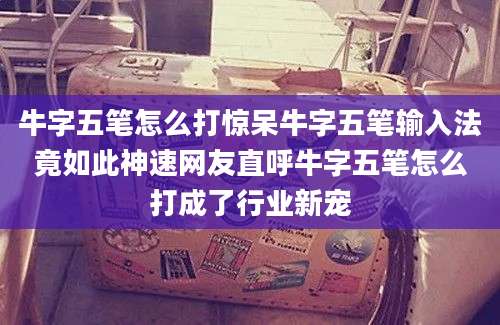 牛字五笔怎么打惊呆牛字五笔输入法竟如此神速网友直呼牛字五笔怎么打成了行业新宠