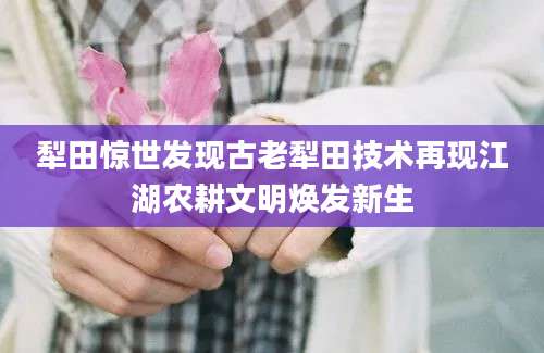 犁田惊世发现古老犁田技术再现江湖农耕文明焕发新生