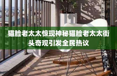 猫脸老太太惊现神秘猫脸老太太街头奇观引发全民热议