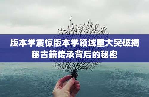 版本学震惊版本学领域重大突破揭秘古籍传承背后的秘密