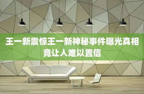 王一新震惊王一新神秘事件曝光真相竟让人难以置信