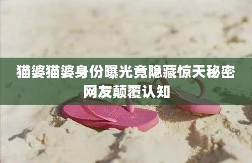 猫婆猫婆身份曝光竟隐藏惊天秘密网友颠覆认知