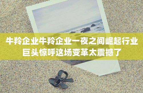 牛羚企业牛羚企业一夜之间崛起行业巨头惊呼这场变革太震撼了