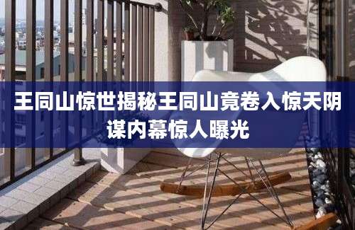 王同山惊世揭秘王同山竟卷入惊天阴谋内幕惊人曝光