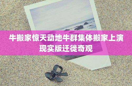 牛搬家惊天动地牛群集体搬家上演现实版迁徙奇观