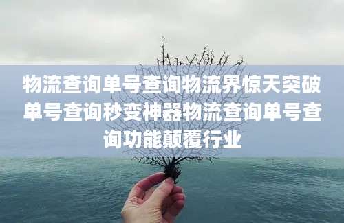 物流查询单号查询物流界惊天突破单号查询秒变神器物流查询单号查询功能颠覆行业