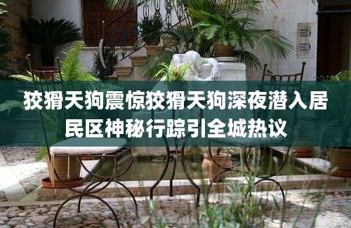 狡猾天狗震惊狡猾天狗深夜潜入居民区神秘行踪引全城热议