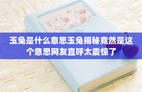 玉兔是什么意思玉兔揭秘竟然是这个意思网友直呼太震惊了