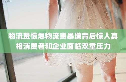 物流费惊爆物流费暴增背后惊人真相消费者和企业面临双重压力