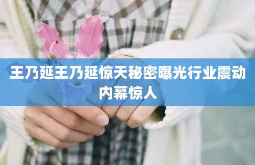王乃延王乃延惊天秘密曝光行业震动内幕惊人