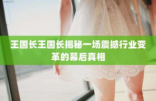 王国长王国长揭秘一场震撼行业变革的幕后真相