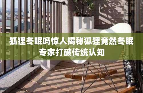 狐狸冬眠吗惊人揭秘狐狸竟然冬眠专家打破传统认知