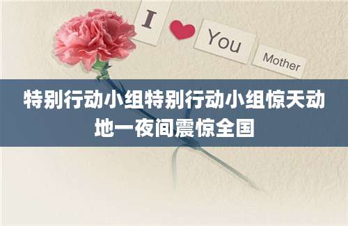 特别行动小组特别行动小组惊天动地一夜间震惊全国