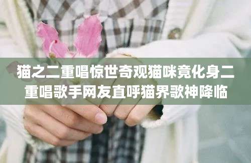 猫之二重唱惊世奇观猫咪竟化身二重唱歌手网友直呼猫界歌神降临
