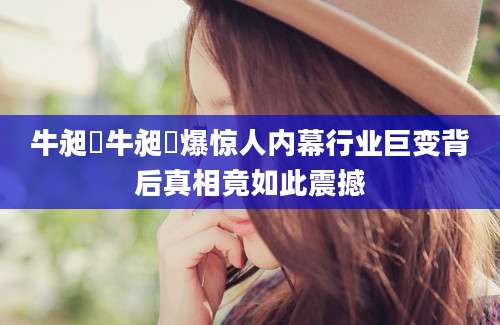 牛昶昞牛昶昞爆惊人内幕行业巨变背后真相竟如此震撼