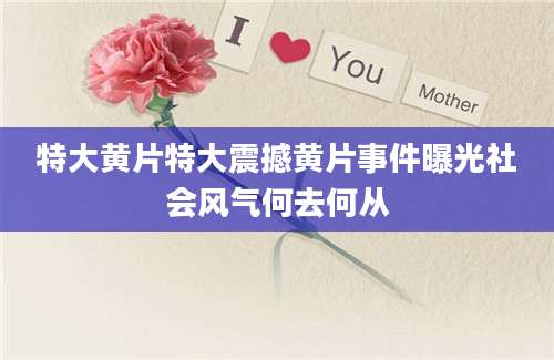 特大黄片特大震撼黄片事件曝光社会风气何去何从