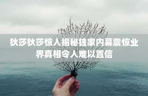 狄莎狄莎惊人揭秘独家内幕震惊业界真相令人难以置信