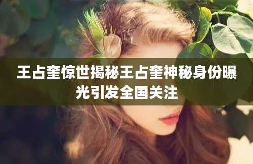 王占奎惊世揭秘王占奎神秘身份曝光引发全国关注