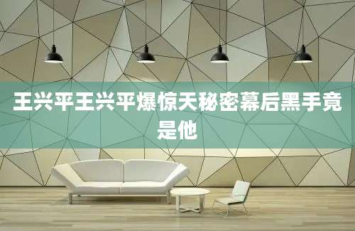 王兴平王兴平爆惊天秘密幕后黑手竟是他
