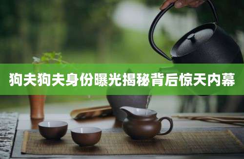 狗夫狗夫身份曝光揭秘背后惊天内幕