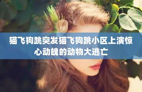 猫飞狗跳突发猫飞狗跳小区上演惊心动魄的动物大逃亡
