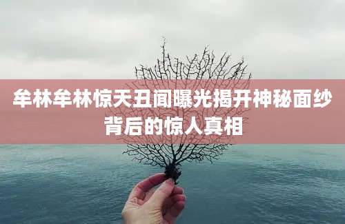 牟林牟林惊天丑闻曝光揭开神秘面纱背后的惊人真相
