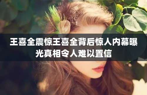 王喜全震惊王喜全背后惊人内幕曝光真相令人难以置信