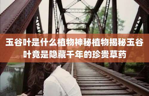 玉谷叶是什么植物神秘植物揭秘玉谷叶竟是隐藏千年的珍贵草药
