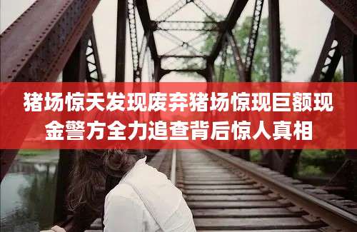 猪场惊天发现废弃猪场惊现巨额现金警方全力追查背后惊人真相