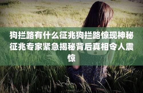 狗拦路有什么征兆狗拦路惊现神秘征兆专家紧急揭秘背后真相令人震惊