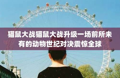 猫鼠大战猫鼠大战升级一场前所未有的动物世纪对决震惊全球