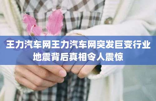 王力汽车网王力汽车网突发巨变行业地震背后真相令人震惊